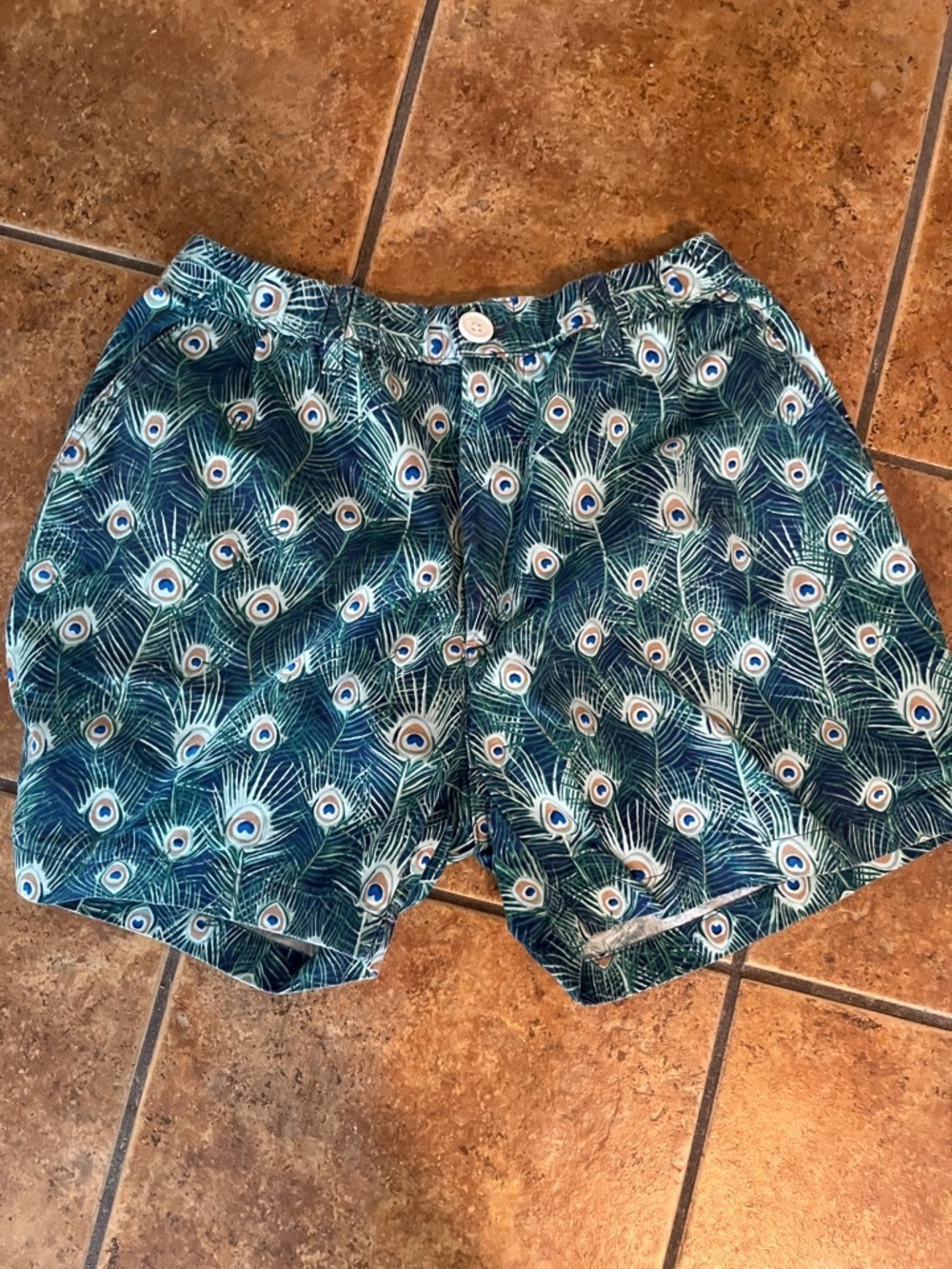 Men's Peacocker Swim Shorts - Blue Green Size M